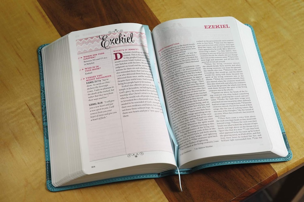 NIV Bible For Teen Girls Teal Imitation Leather