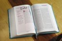 NIV Bible For Teen Girls Teal Imitation Leather