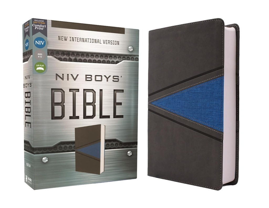 NIV Boys Bible Gray/Blue Imitation Leather