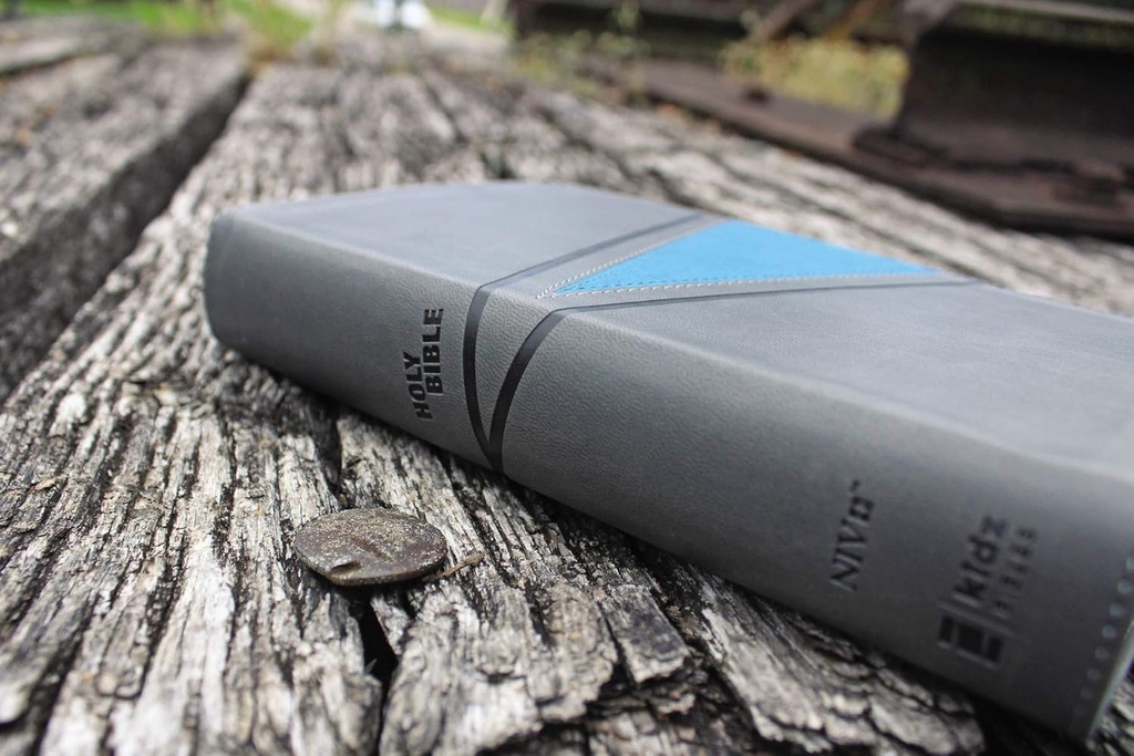 NIV Boys Bible Gray/Blue Imitation Leather