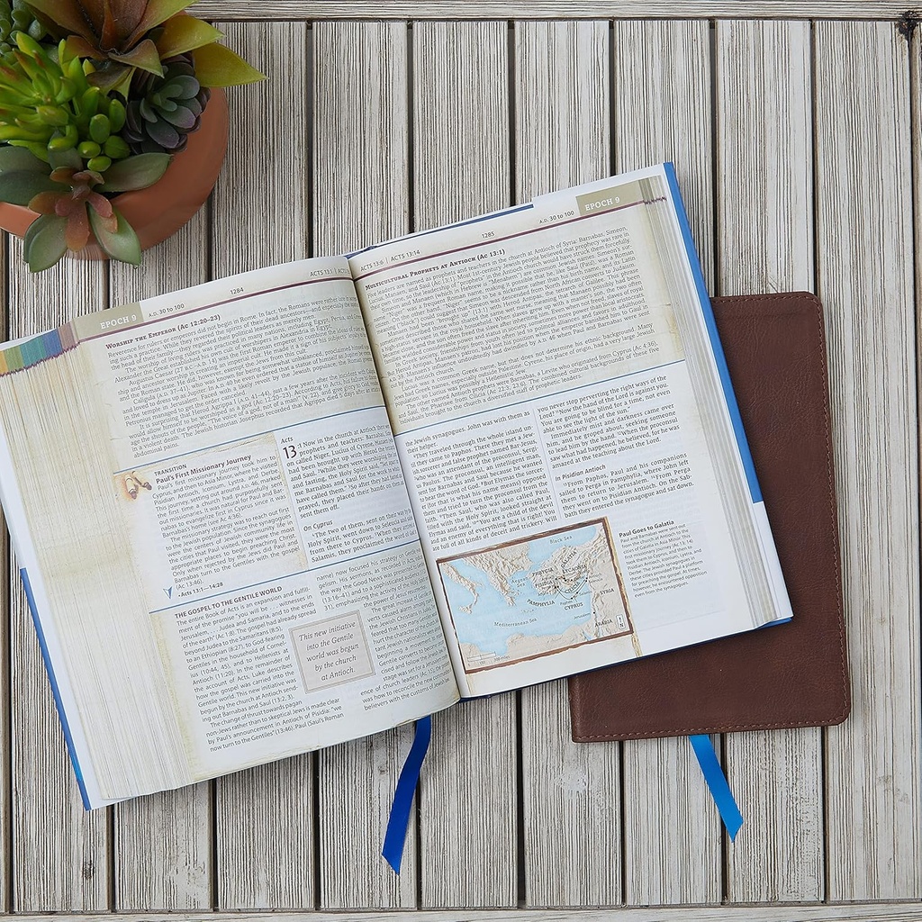 NIV Chronological Study Bible Black I/L
