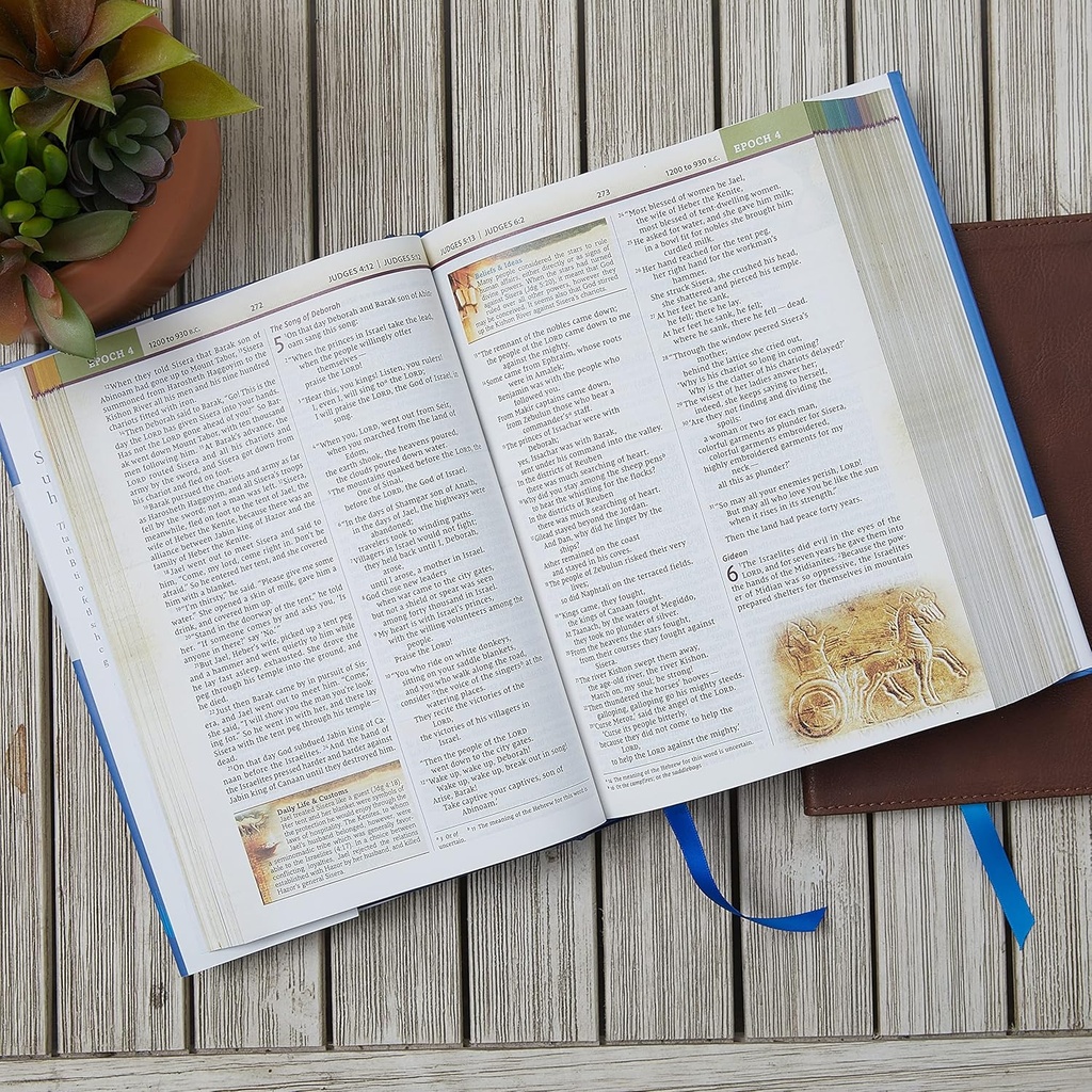 NIV Chronological Study Bible Black I/L