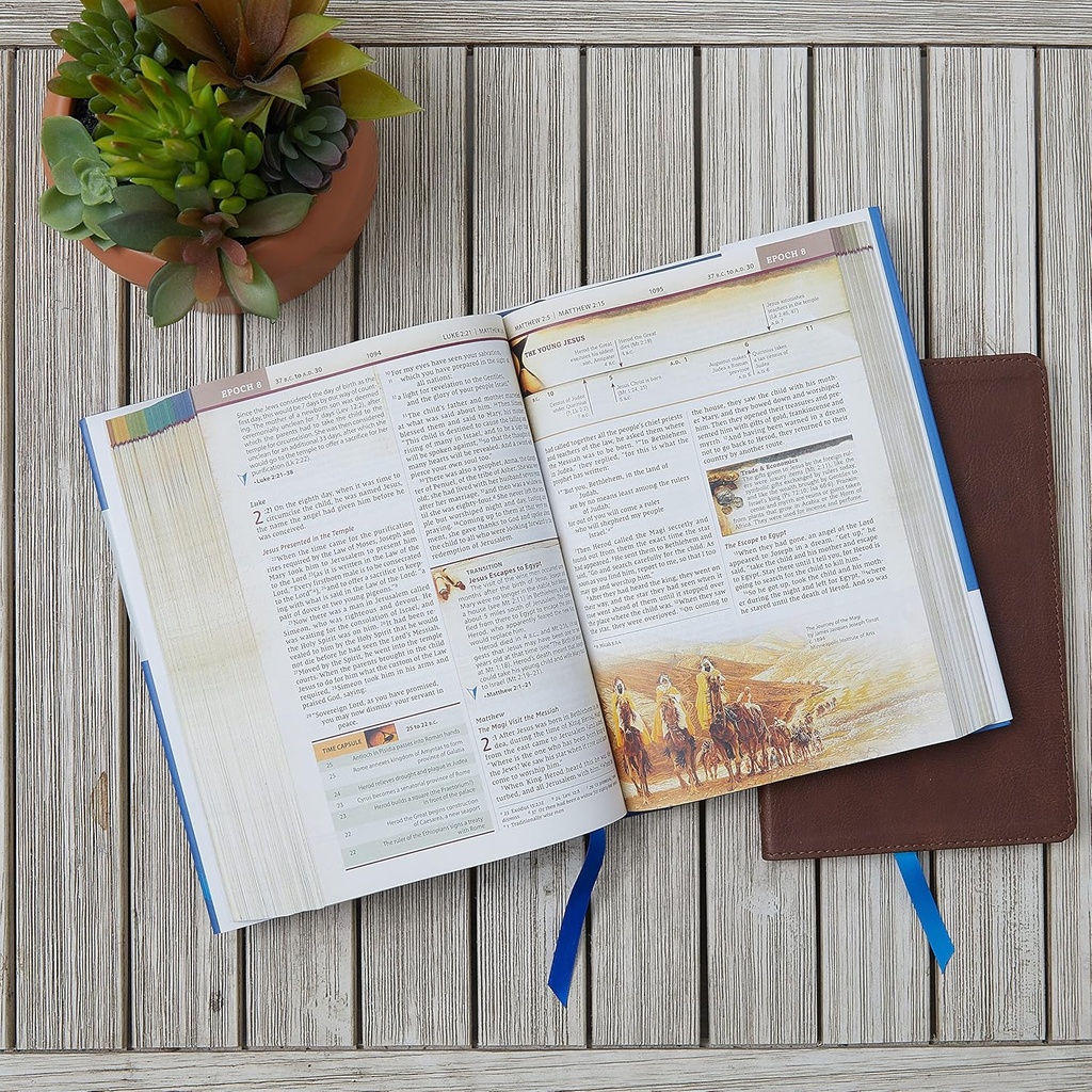 NIV Chronological Study Bible Black I/L