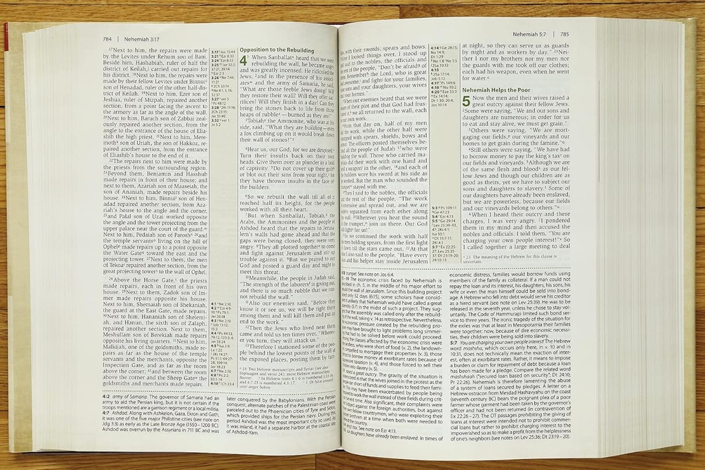 NIV Cultural Backgrounds Study Bible Hardcover