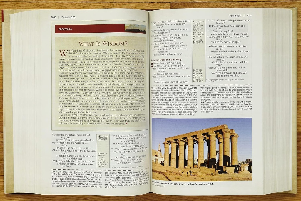 NIV Cultural Backgrounds Study Bible Hardcover