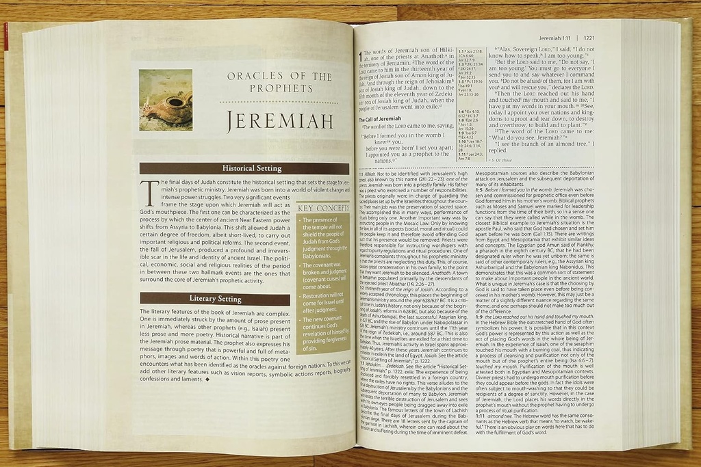 NIV Cultural Backgrounds Study Bible Hardcover