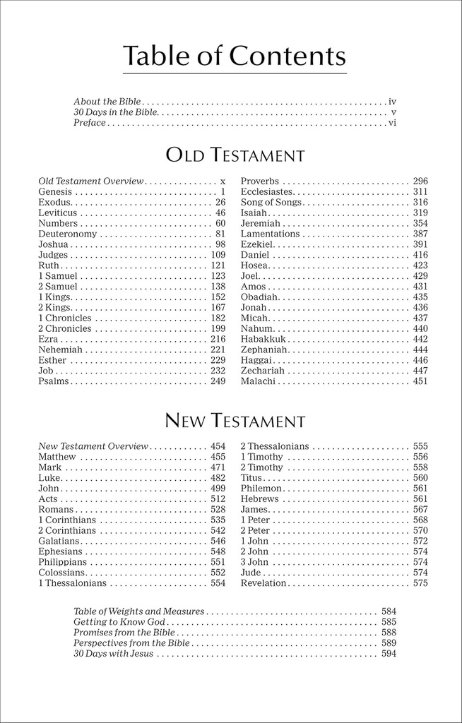 NIV Economy Bible P/B (NEW) Single