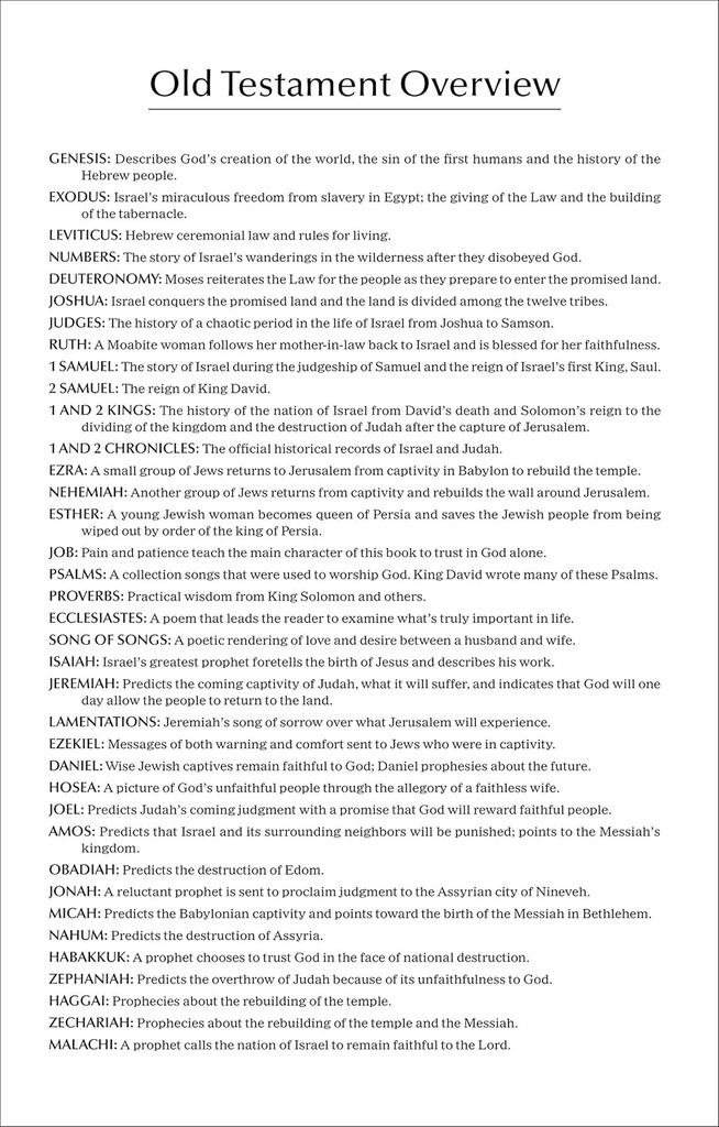NIV Economy Bible P/B (NEW) Single