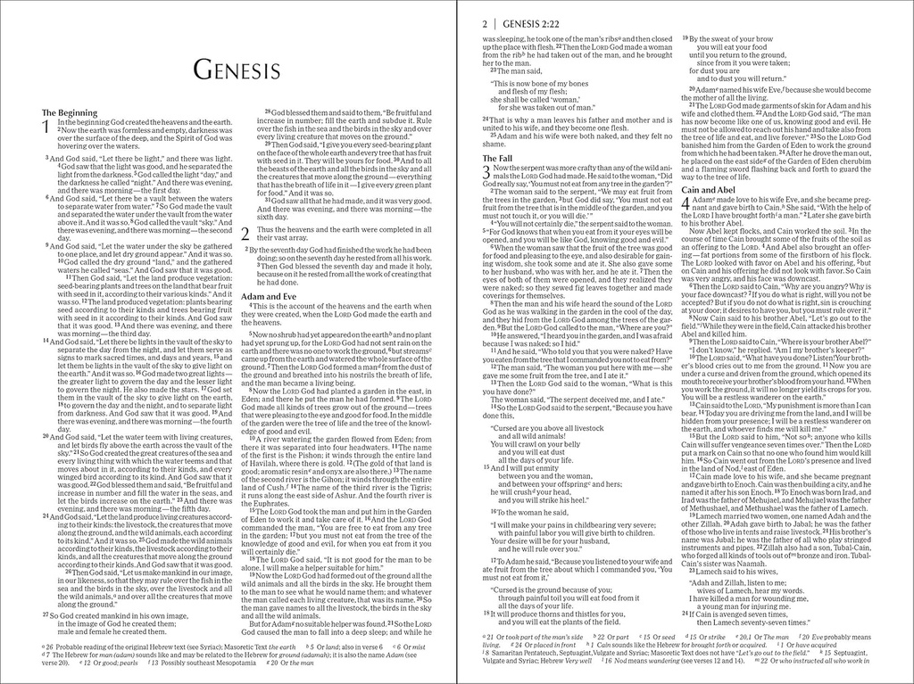 NIV Economy Bible P/B (NEW) Single