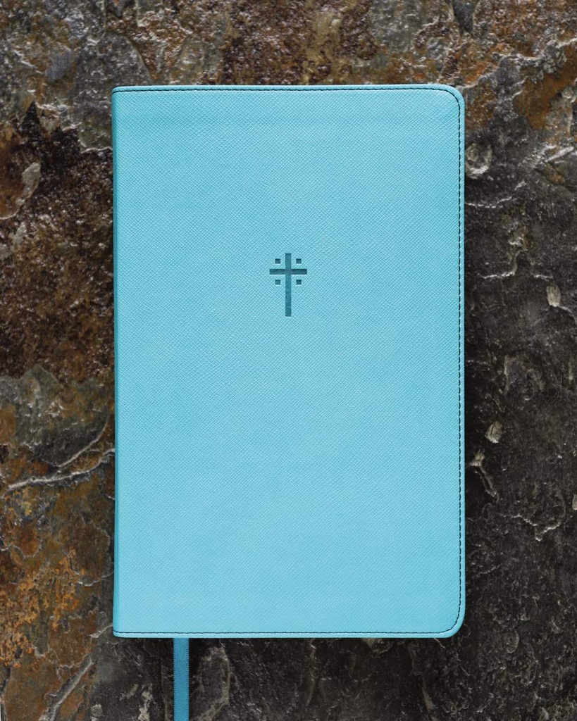 NIV Foundation Study Bible Teal I/L