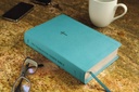 NIV Foundation Study Bible Teal I/L