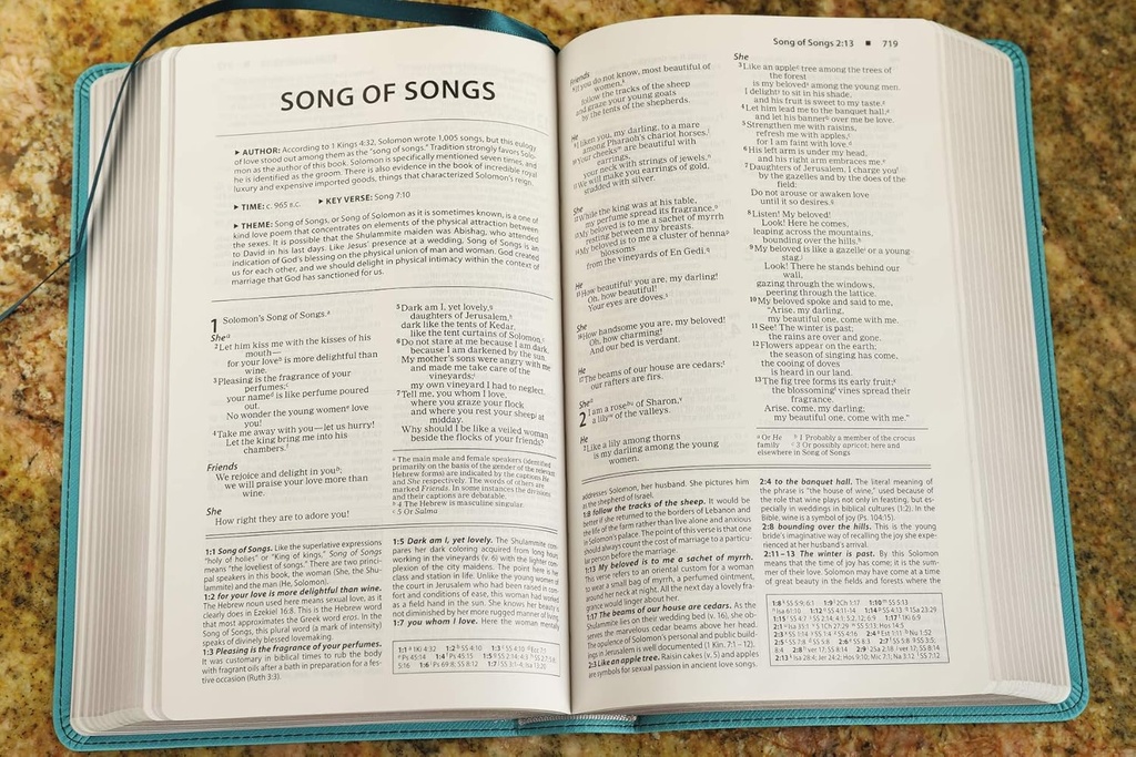NIV Foundation Study Bible Teal I/L