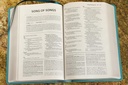 NIV Foundation Study Bible Teal I/L