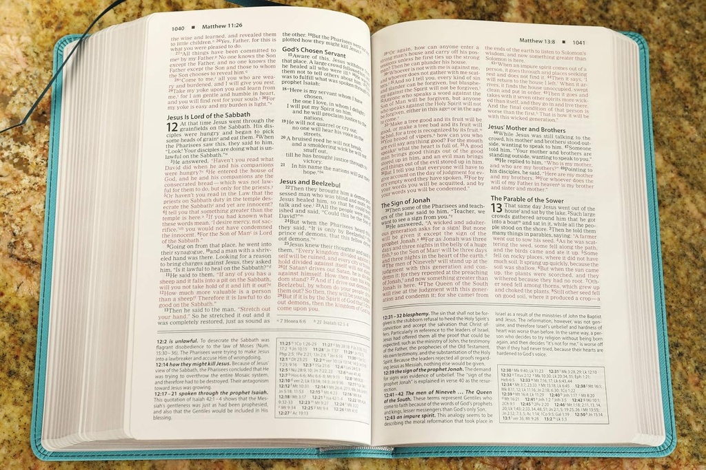 NIV Foundation Study Bible Teal I/L