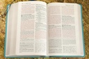 NIV Foundation Study Bible Teal I/L