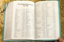 NIV Foundation Study Bible Teal I/L
