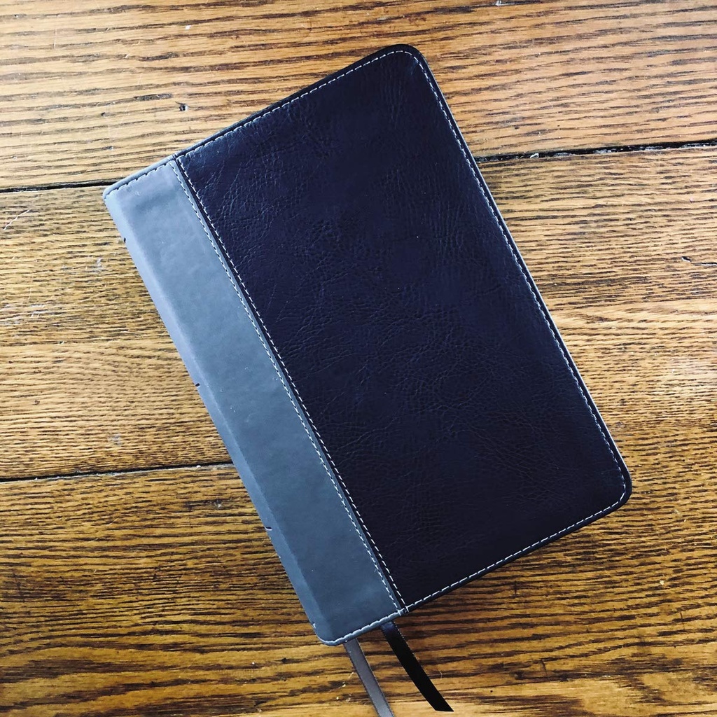 NIV Giant Print Compact Bible Black I/L