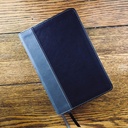 NIV Giant Print Compact Bible Black I/L