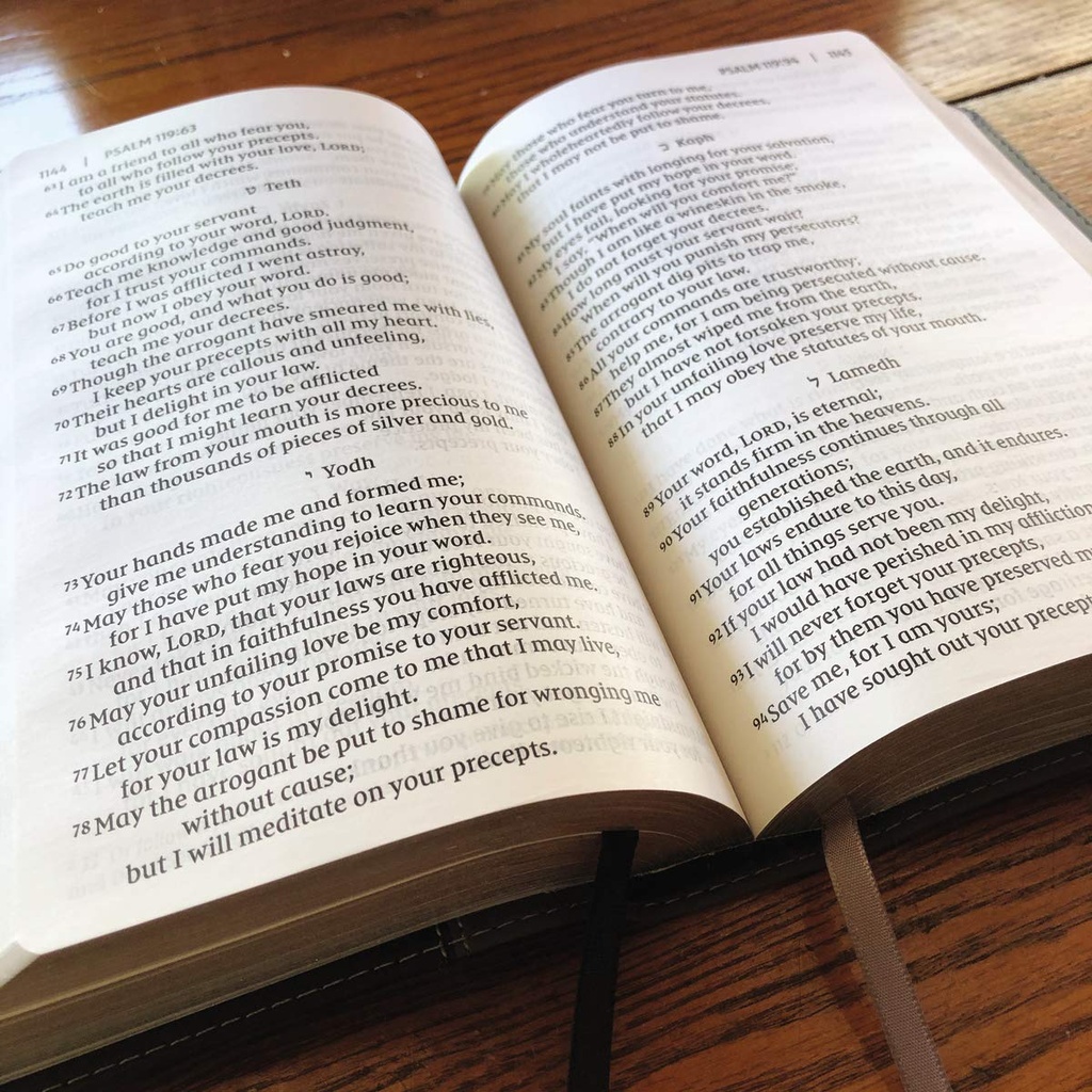 NIV Giant Print Compact Bible Black I/L