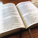 NIV Giant Print Compact Bible Black I/L