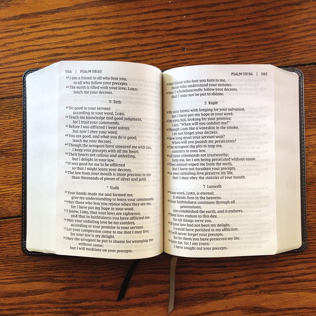NIV Giant Print Compact Bible Black I/L