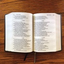 NIV Giant Print Compact Bible Black I/L