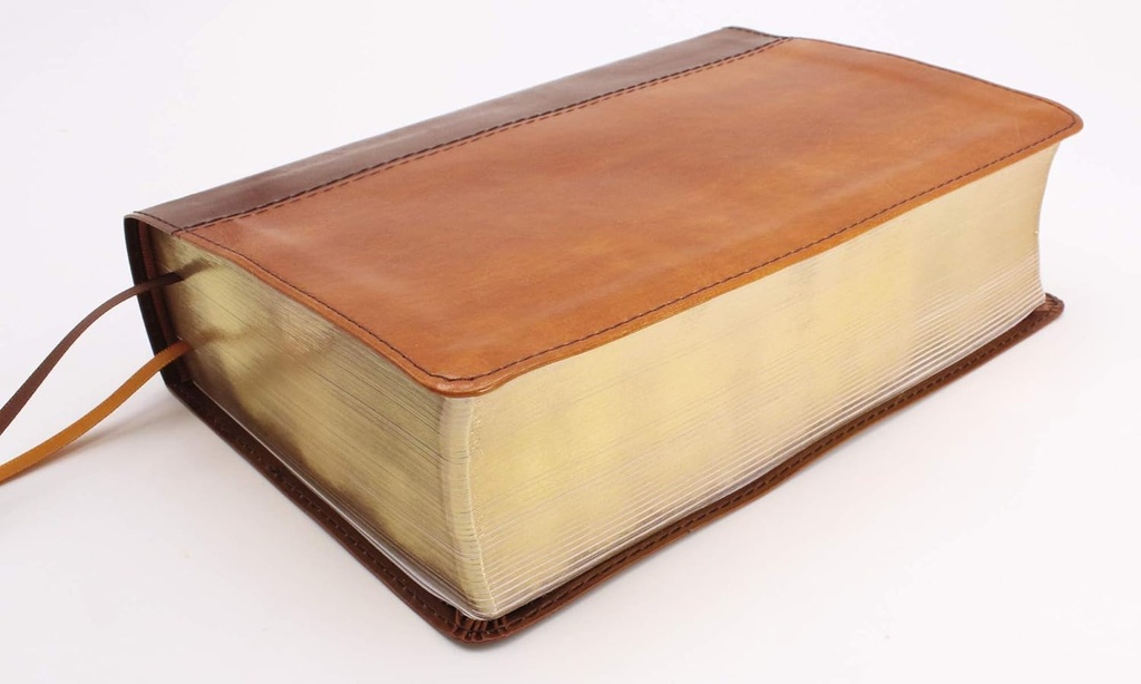 NIV Giant Print Compact Bible Brown I/L