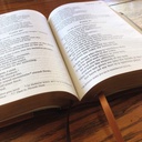 NIV Giant Print Compact Bible Brown I/L