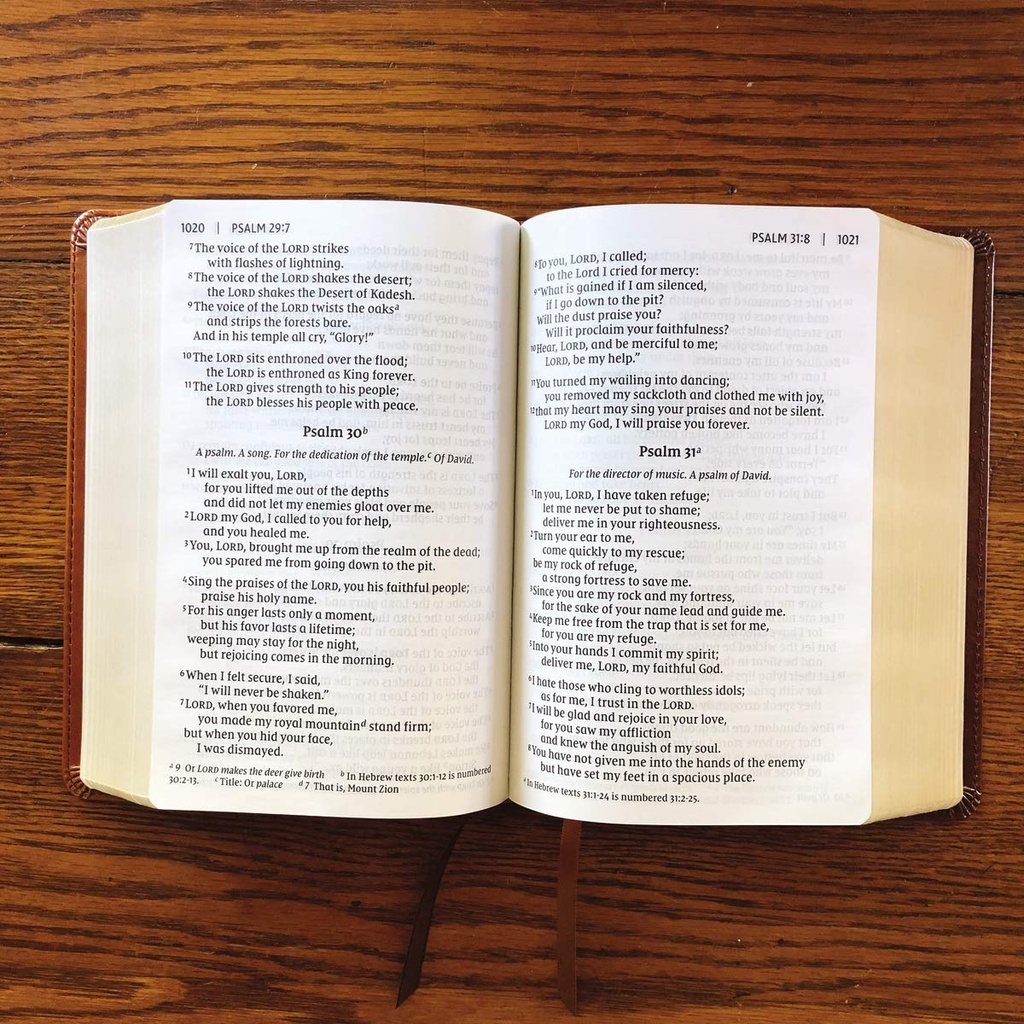 NIV Giant Print Compact Bible Brown I/L