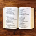 NIV Giant Print Compact Bible Brown I/L
