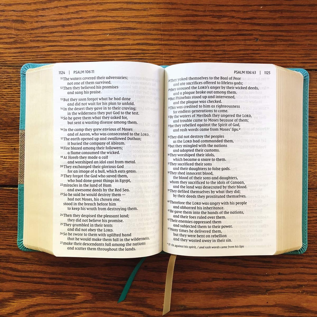 NIV Giant Print Compact Bible Teal I/L