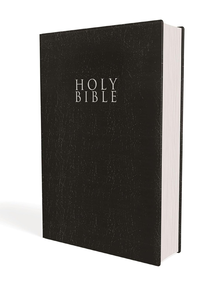 NIV Gift and Award Bible Black Leather-Look