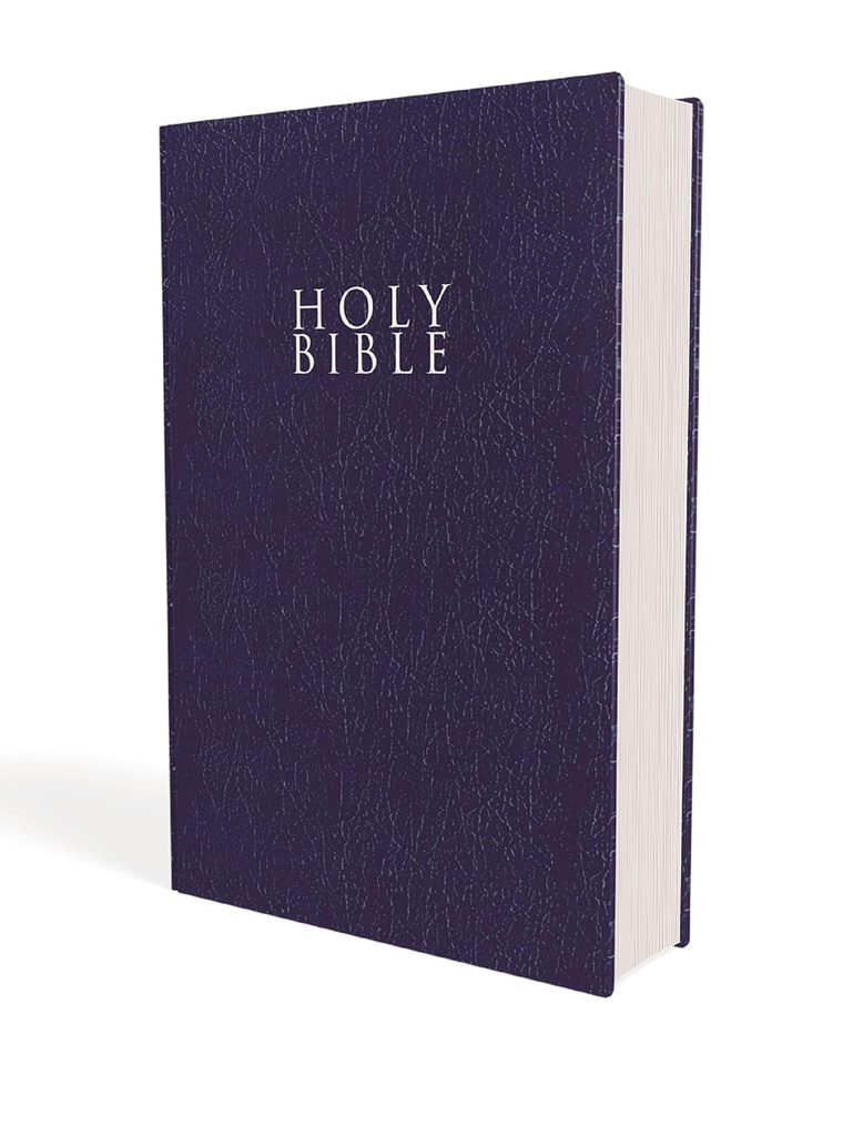 NIV Gift and Award Bible Blue Leather-Look