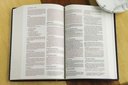 NIV Gift and Award Bible Blue Leather-Look