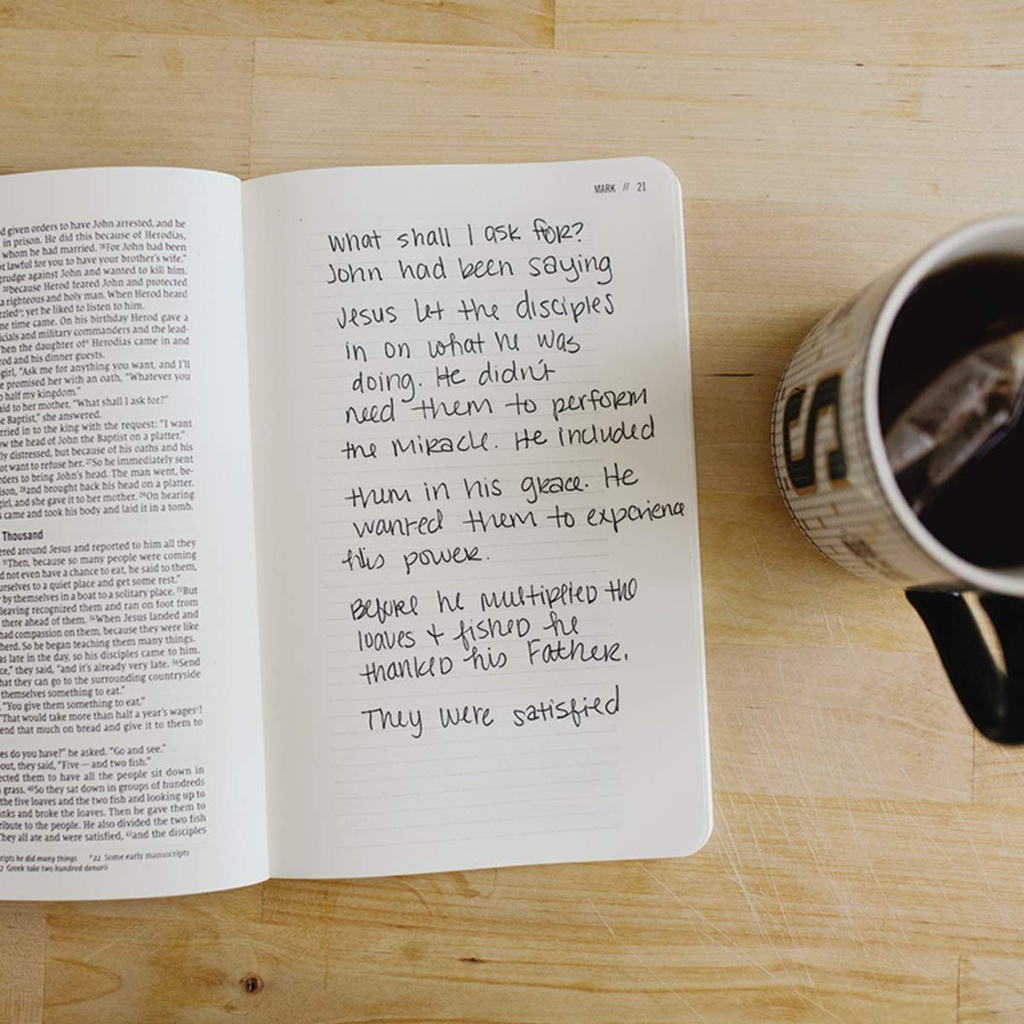NIV Jesus Bible Journal: Romans