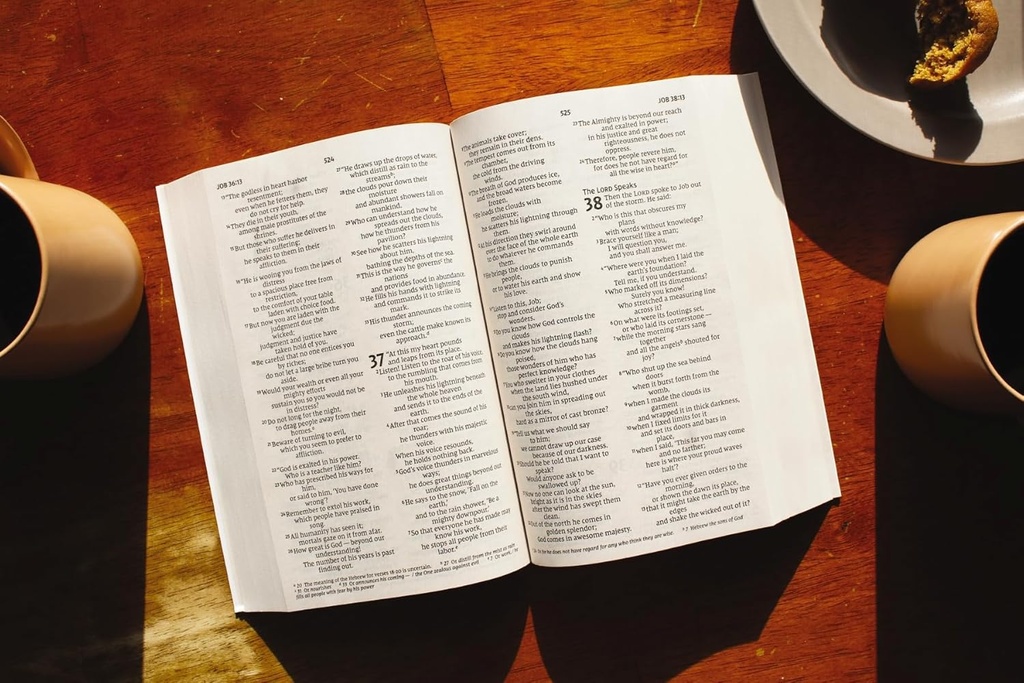 NIV Jesus Everywhere Outreach Bible Larger Print Paperback