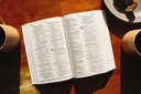 NIV Jesus Everywhere Outreach Bible Larger Print Paperback