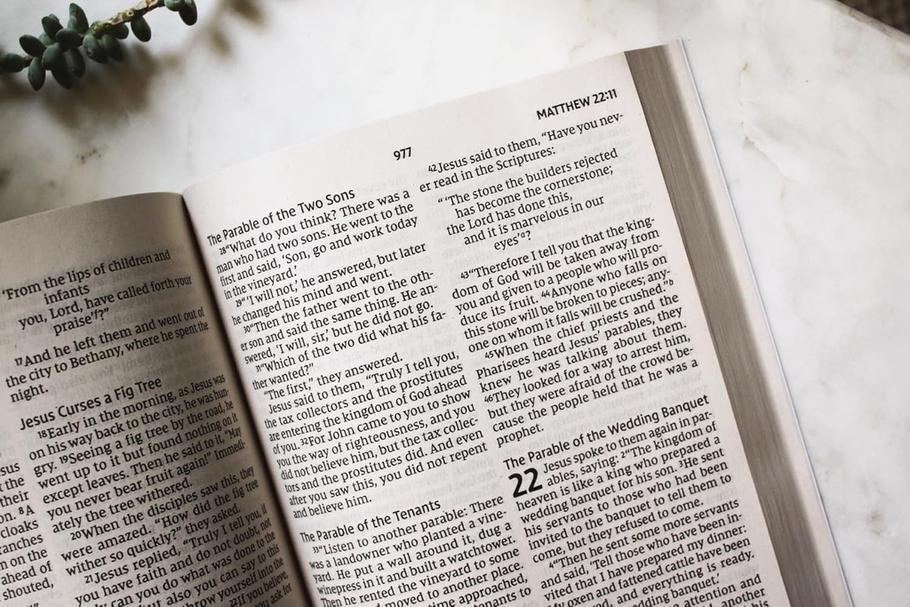 NIV Jesus Everywhere Outreach Bible Larger Print Paperback