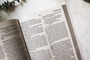 NIV Jesus Everywhere Outreach Bible Larger Print Paperback