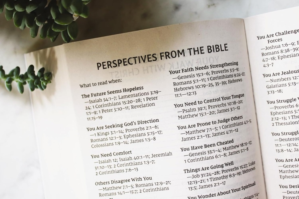 NIV Jesus Everywhere Outreach Bible Larger Print Paperback