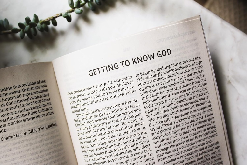 NIV Jesus Everywhere Outreach Bible Larger Print Paperback