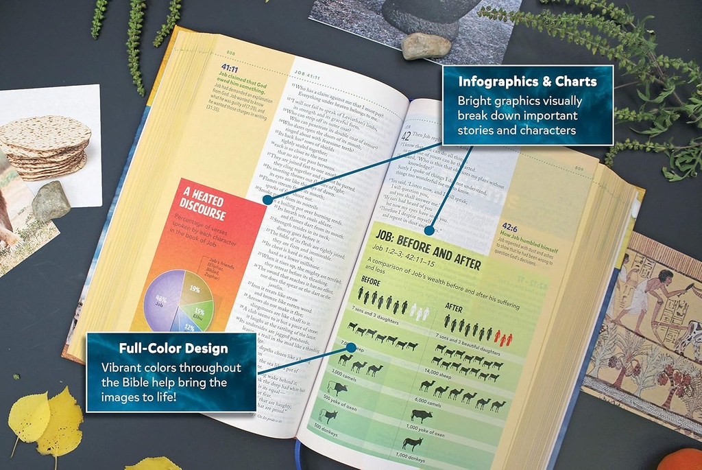 NIV Kids' Visual Study Bible H/C