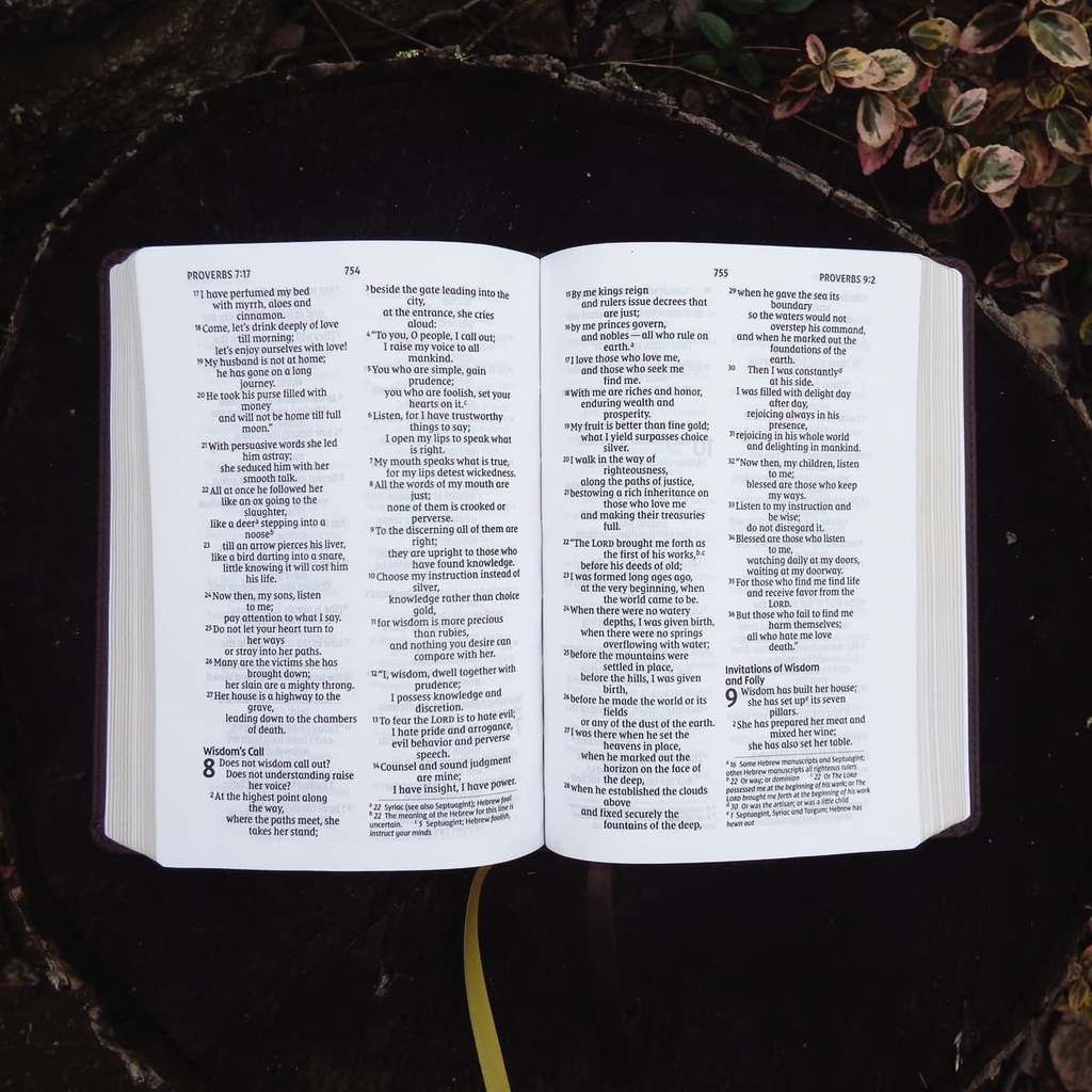 NIV Larger Print Compact Bible Brown I/L