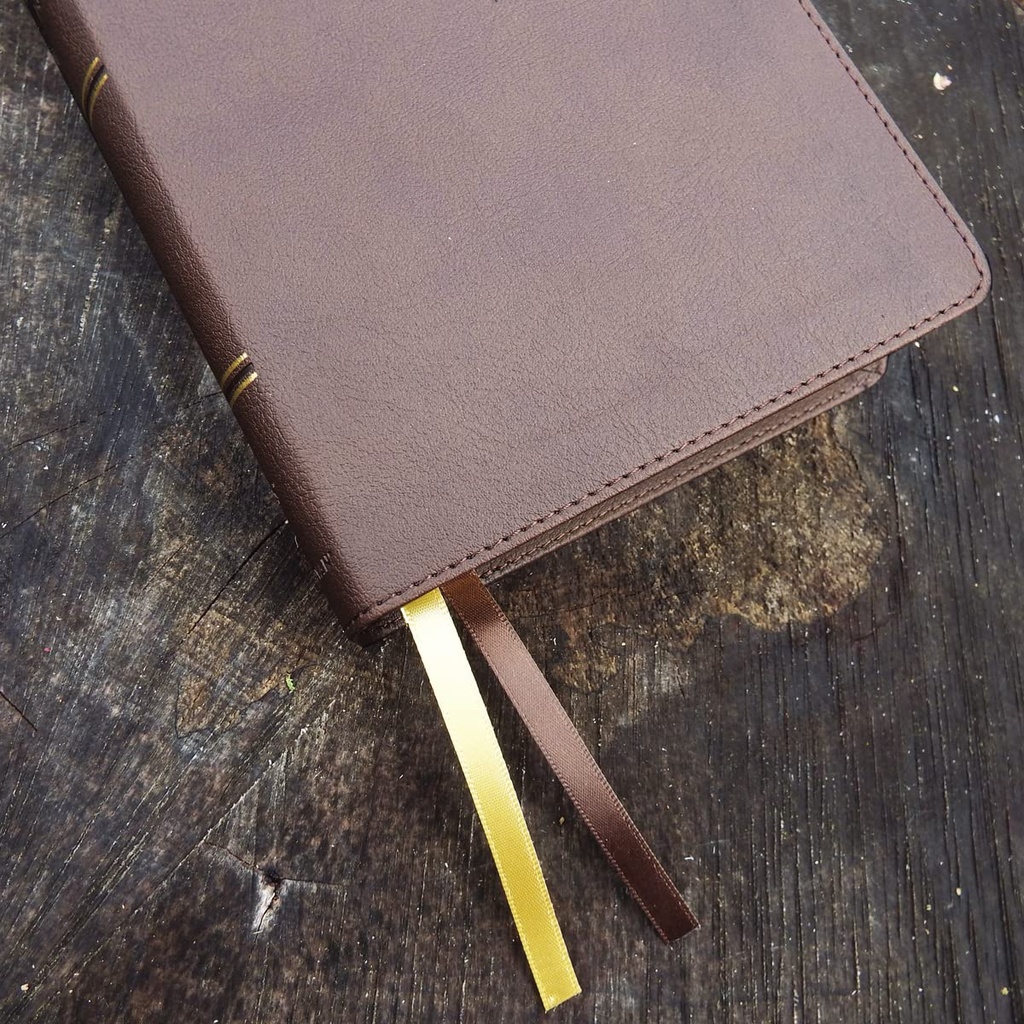 NIV Larger Print Compact Bible Brown I/L