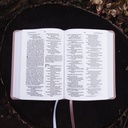 NIV Larger Print Compact Bible Pink I/L