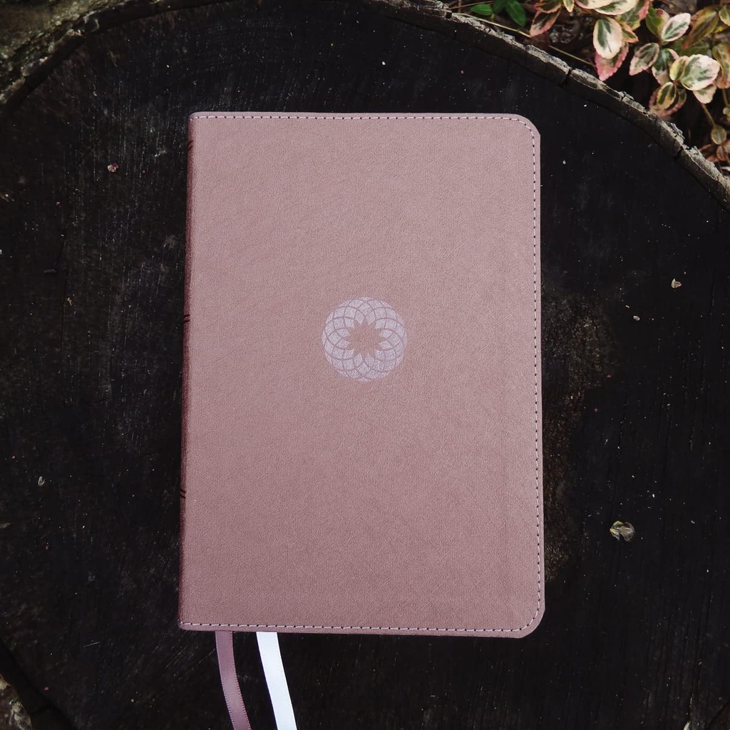NIV Larger Print Compact Bible Pink I/L