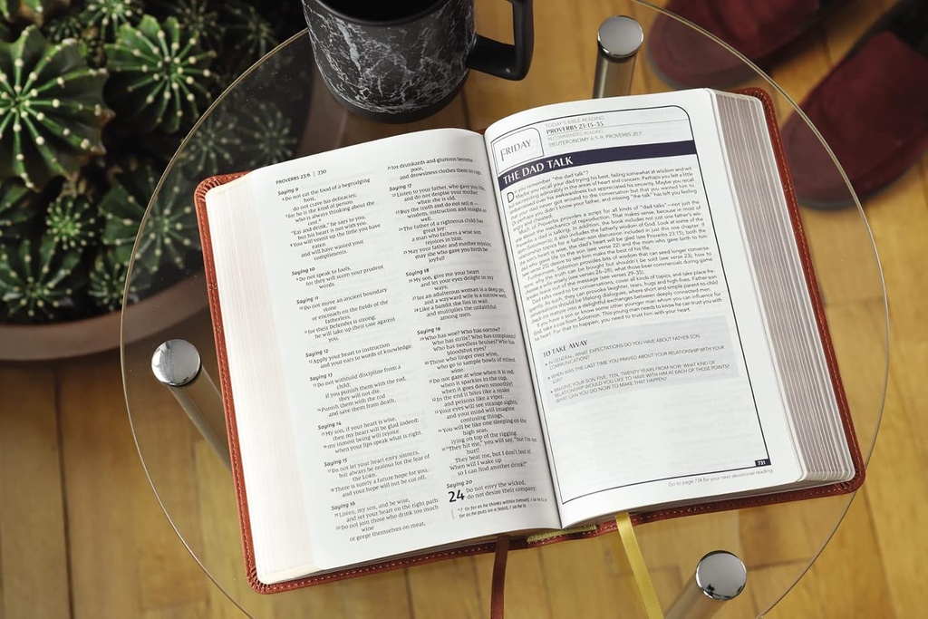 NIV Men's Devotional Bible Brown I/L