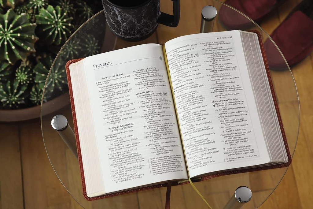 NIV Men's Devotional Bible Brown I/L
