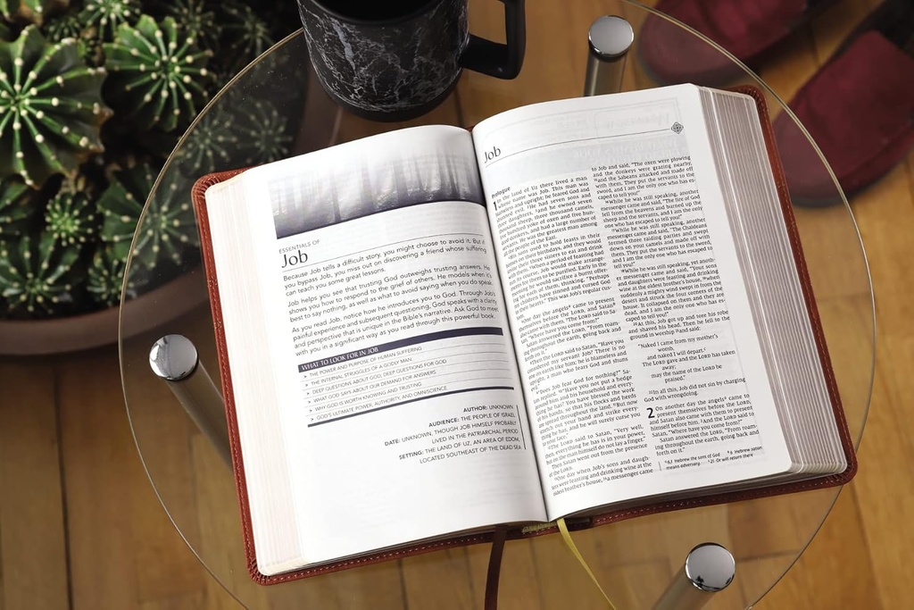 NIV Men's Devotional Bible Brown I/L