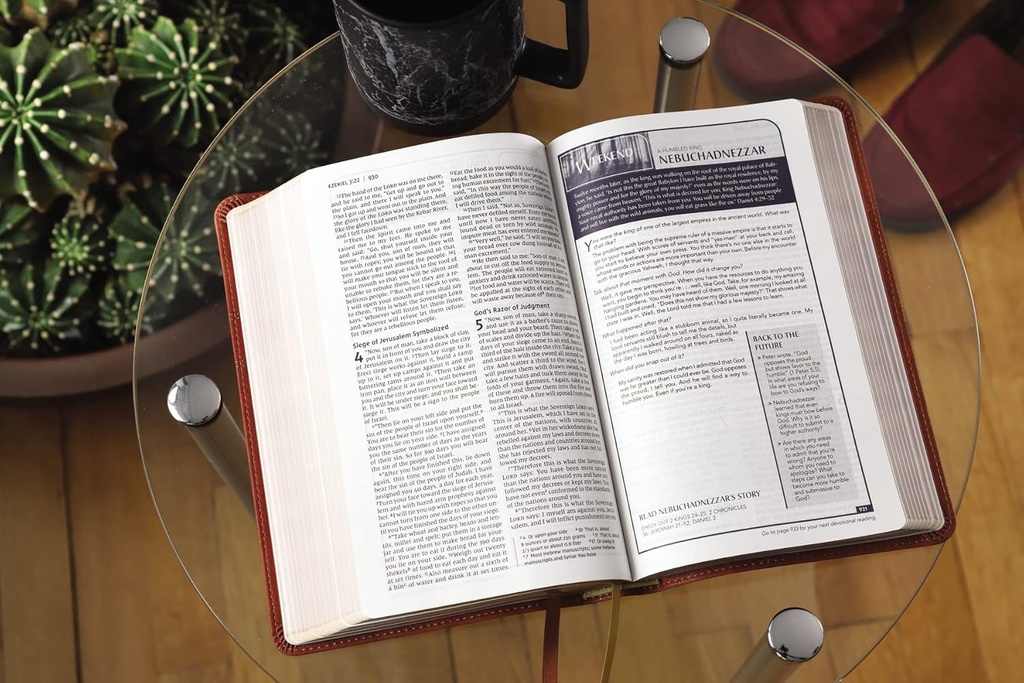 NIV Men's Devotional Bible Brown I/L